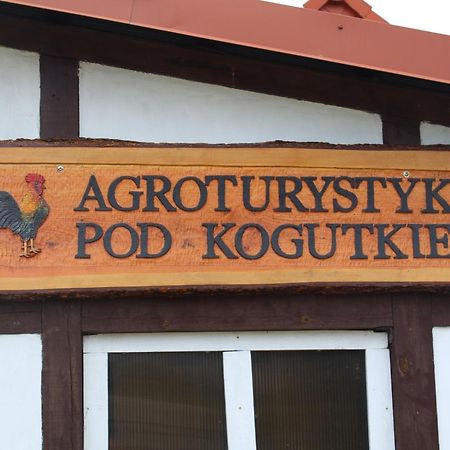 Agroturystyka Pod Kogutkiem Czysta エクステリア 写真