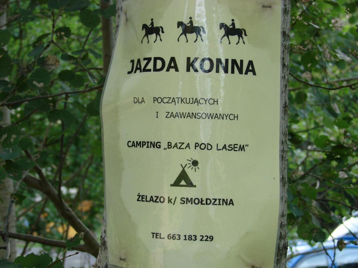 Agroturystyka Pod Kogutkiem Czysta エクステリア 写真