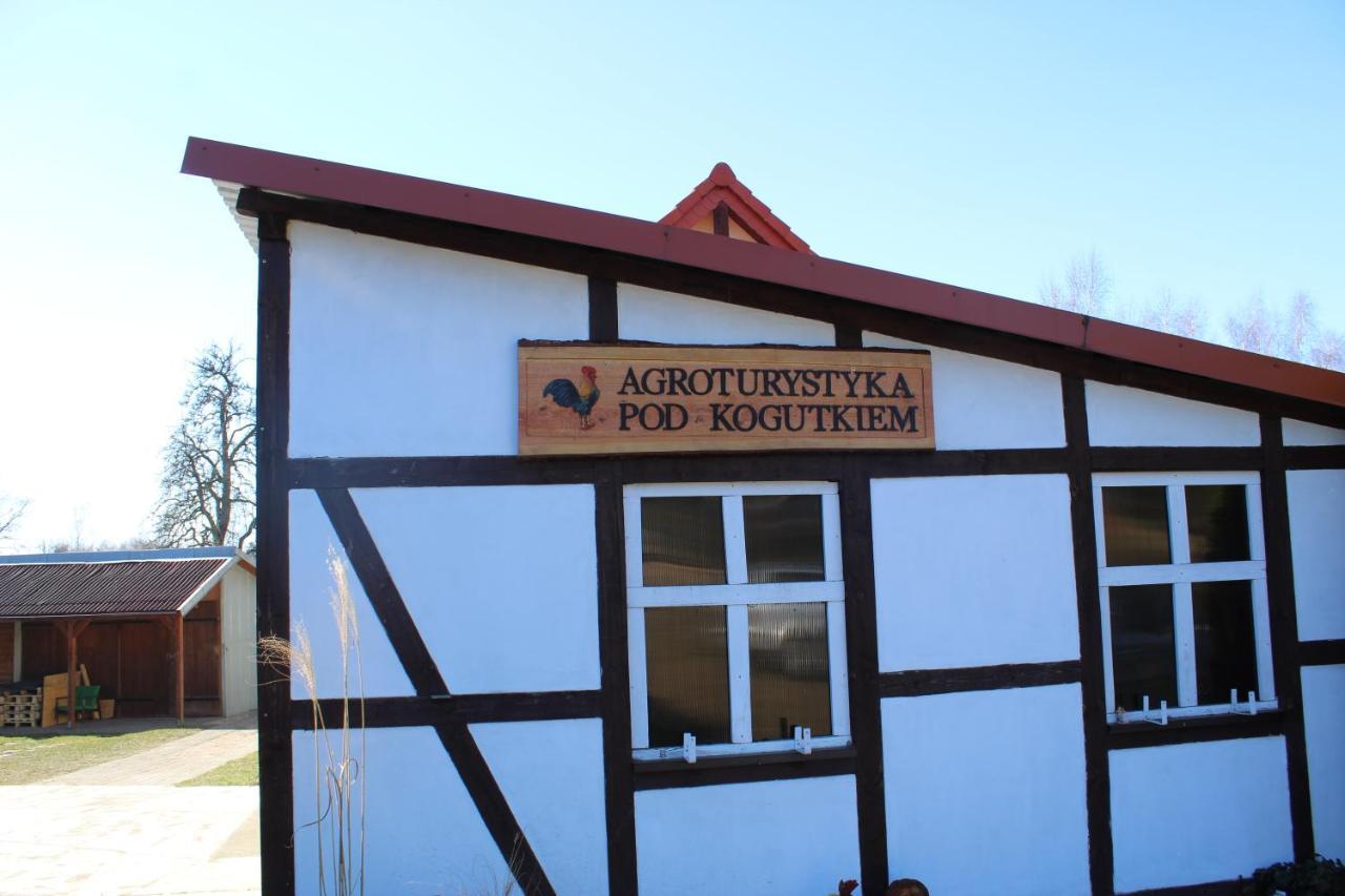 Agroturystyka Pod Kogutkiem Czysta エクステリア 写真