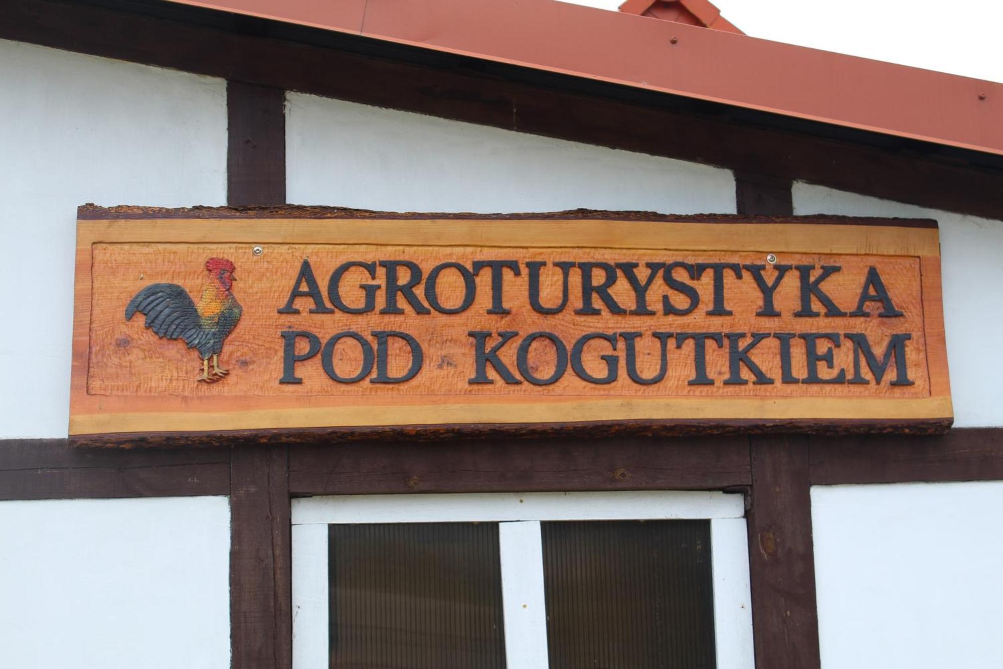 Agroturystyka Pod Kogutkiem Czysta エクステリア 写真